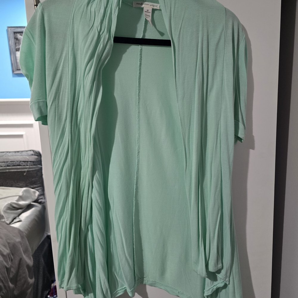 Ambiance Light Green Cardigan